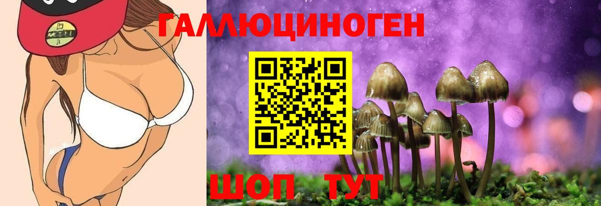 Галлюциногенные грибы GOLDEN TEACHER  Галлюциногенные грибы Magic Shrooms  Вход с VPN  Кушва 